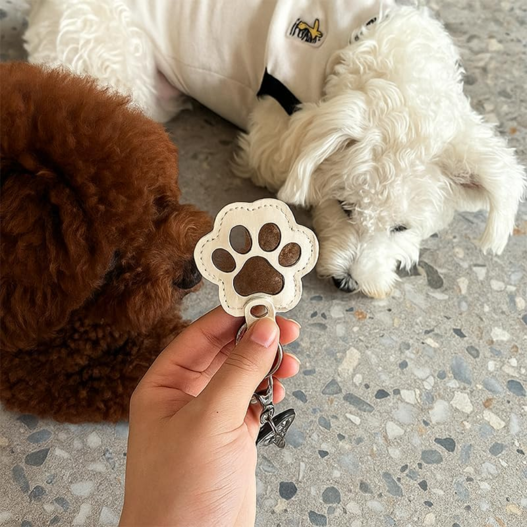 PetLove Memorial Keychain